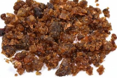 Commiphora Mukul | Guggul Extract supplier & Manufacturers
