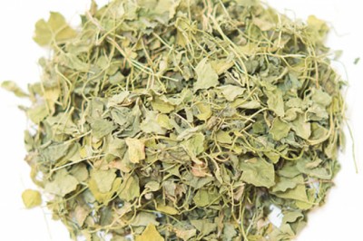 Fenugreek Extract Supplier | Fenugreek Extract manufacturer