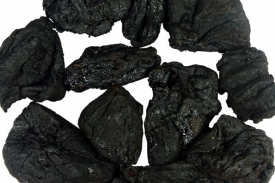 Garcinia Cambogia | Vilayati Imli Extract Exporter & Manufacturer