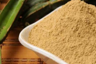 Hadjod extract exporter | Cissus Quadrangularis Manufacturer