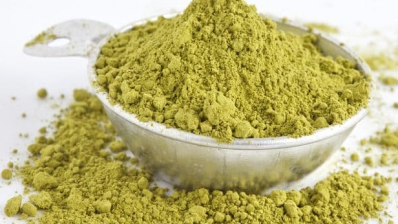 Herbal Creations: Gurmar Extract Supplier and Manufacturer