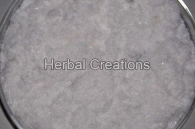 Methoxsalen USP Extract Supplier and Manufacturer