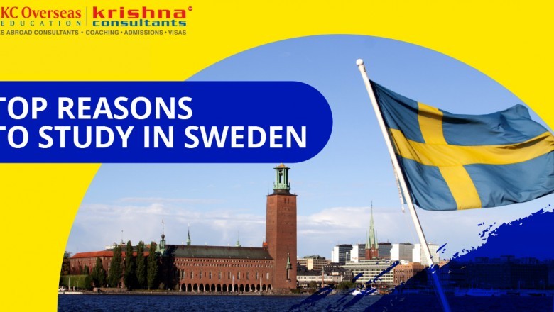 Best term for Work and Study at Sweden