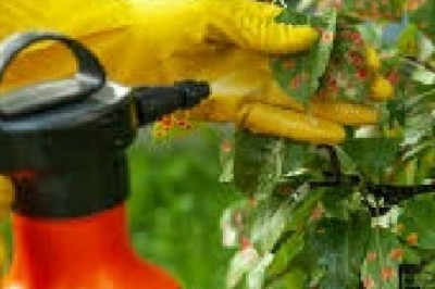 Global Fungicide Market Trends, Size, Forecast - 2019-2025