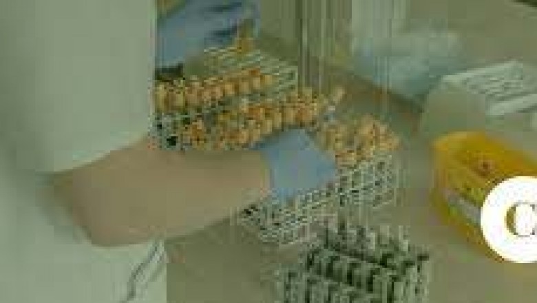 Looking for business advisory services