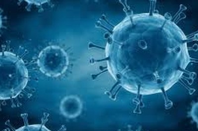 Oncolytic Virus Therapy Market Trends, Size, Forecast - 2018-2023