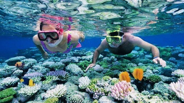 Water Sports In Andaman | 5000+ Reviews | Watersports Package | Booking