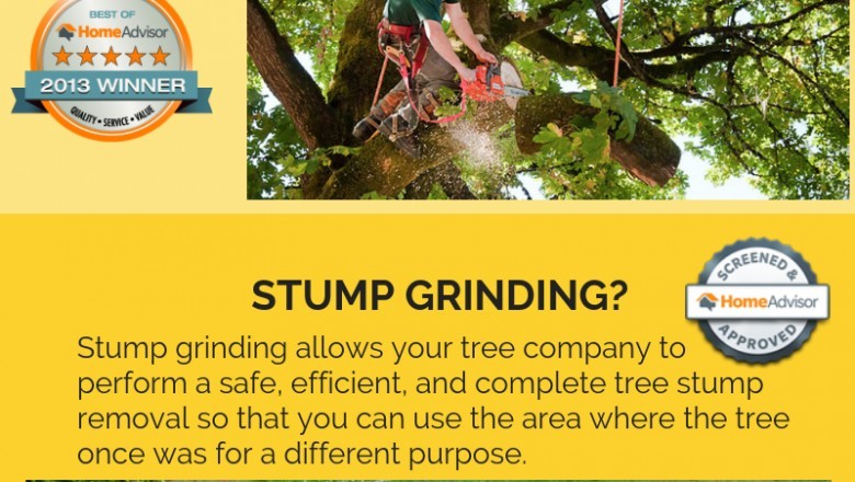 Waveland Tree Removal | Tree Removal Services