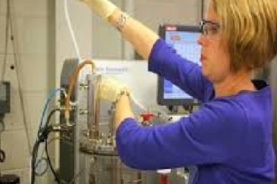 Global Downstream Processing Market Trends, Size, Forecast - 2019-2025