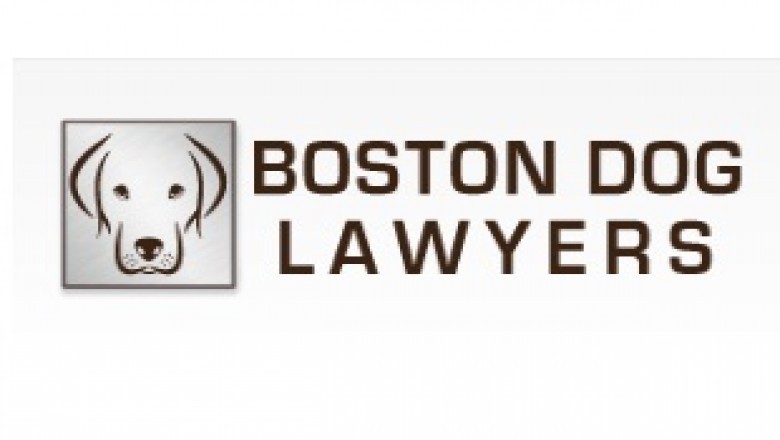 Dog Attack Personal Injury Lawyers Massachusetts