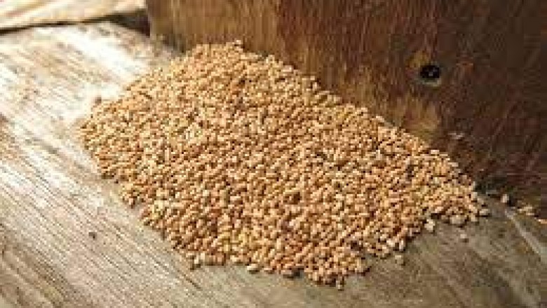 Seed Treatment Market Size, Share, Trends, Growth and Forecast to 2027