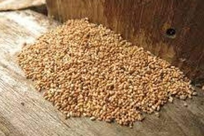 Seed Treatment Market Size, Share, Trends, Growth and Forecast to 2027