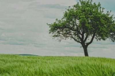 St Louis PTSD Therapists