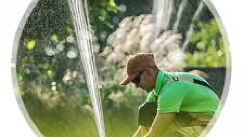 Commercial Landscape Maintenance & Construction (Los Angeles)