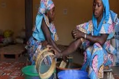 Global Microfinance Industry Market Trends, Size, Forecast - 2019-2025