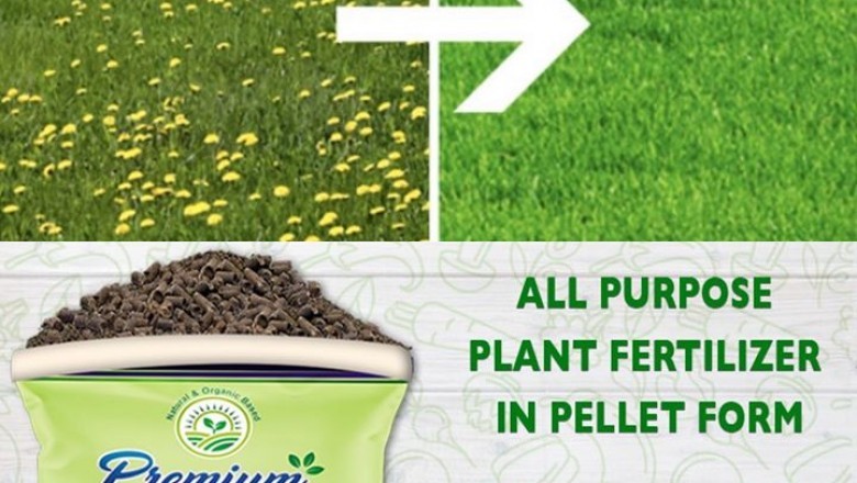 5 Top Reasons To Switch To Organic Fertilizer.
