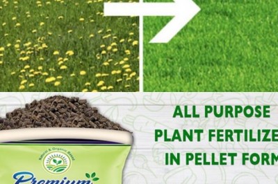 5 Top Reasons To Switch To Organic Fertilizer.
