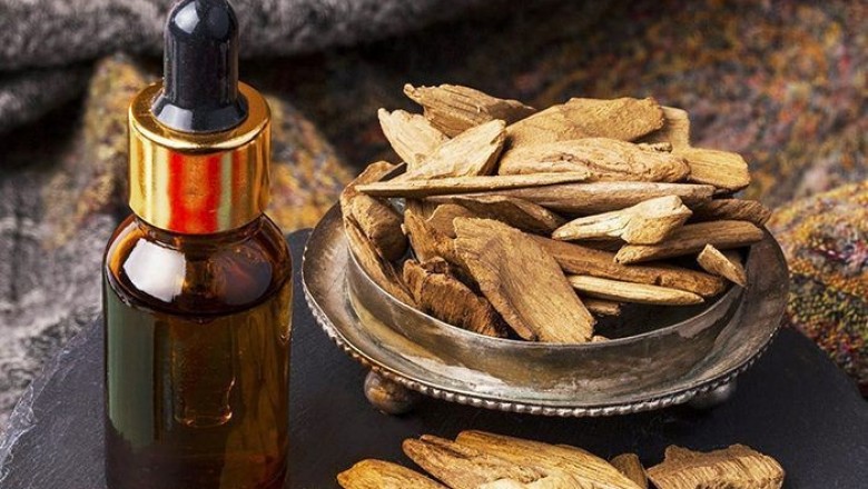The Salient Health Benefits of the Oud Wood Essential Oil