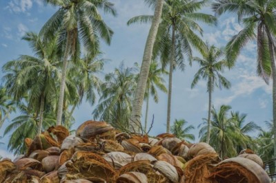 Coconut Coir Growing Media
