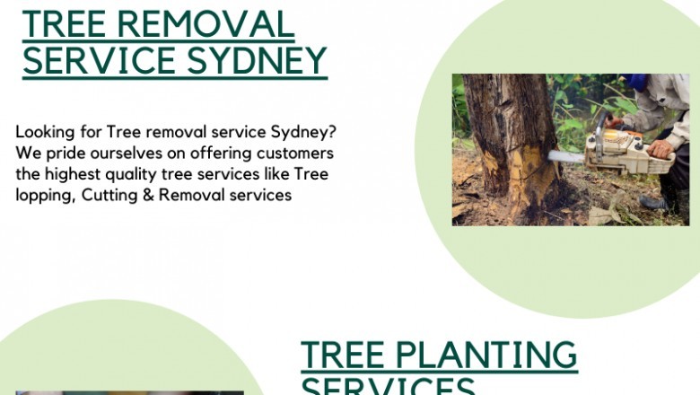 Tree services Sydney