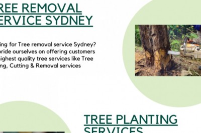 Tree services Sydney