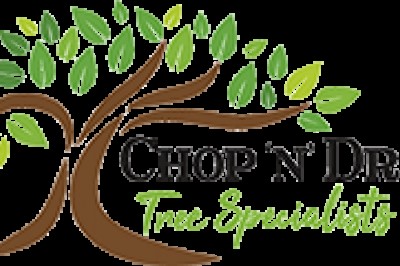Tree Removal Newcastle