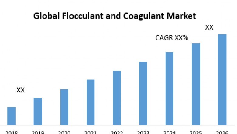 Global Flocculant and Coagulant Market
