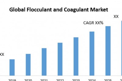 Global Flocculant and Coagulant Market