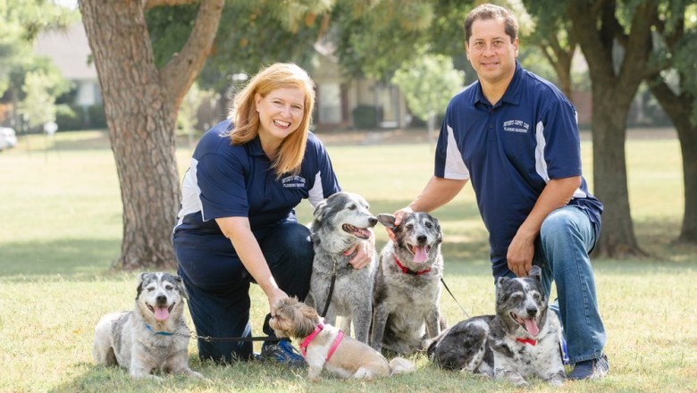 Grout Cleaning Dallas