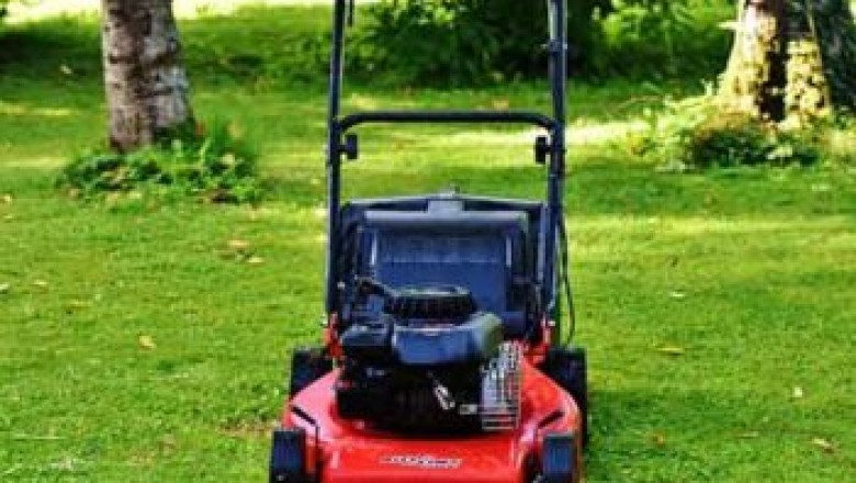 A couple of Gardening Guidelines For You