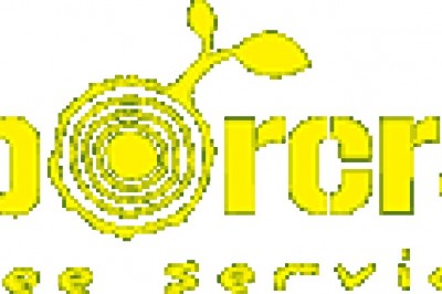 Arborists and tree services in Melbourne | Arborcraft Tree Services