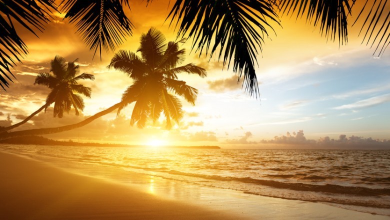 Naples Travel Agency