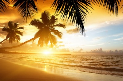Naples Travel Agency