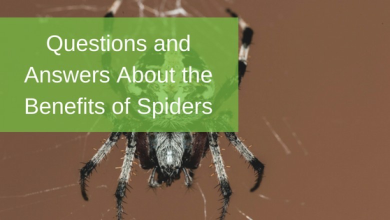 Why Is Pest Control Needed?