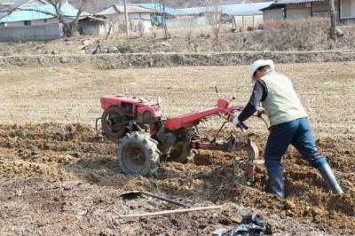 How To Remove Rocks From Soil | Using Machine and Hand