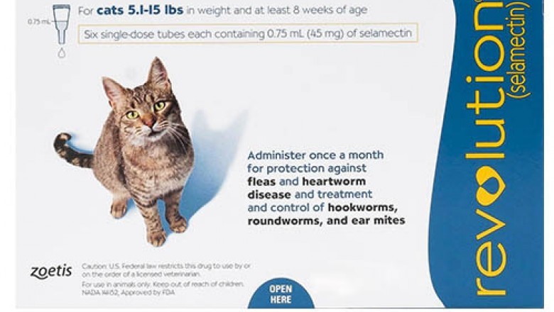 An All-Inclusive Flea and Tick Treatment for Cats