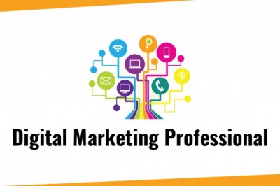 Professional digital marketing service in India
