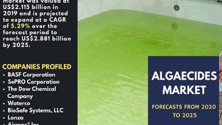 Understanding the importance of Algaecides