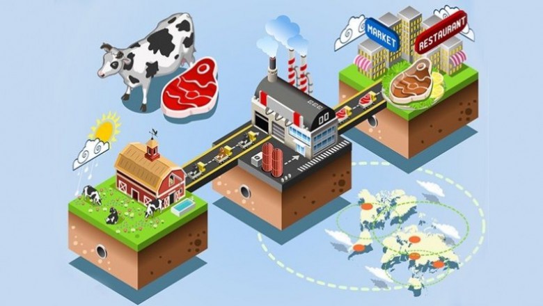Food Traceability Market Size, Share, Forecast and Research Report 2020 to 2030