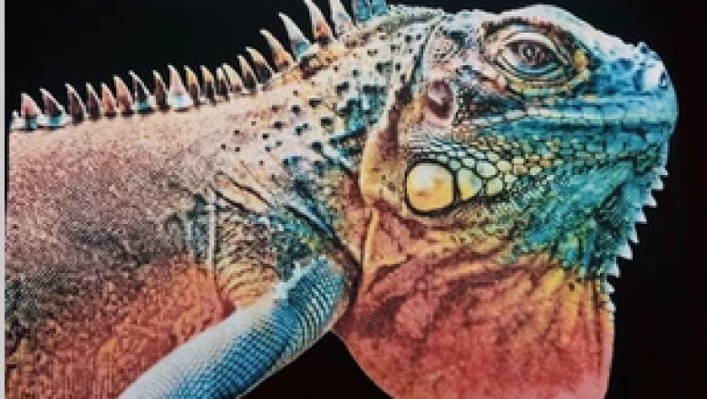 textile printing company - macrofast.com/post/digital-3d-print-puff