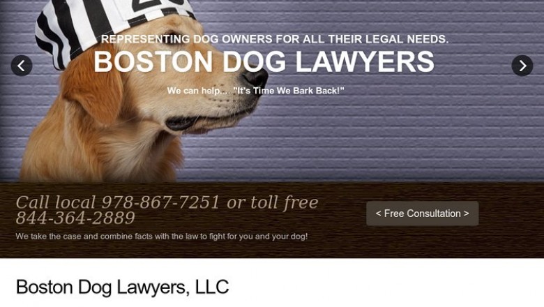 Emotional Support Animal Laws Massachusetts