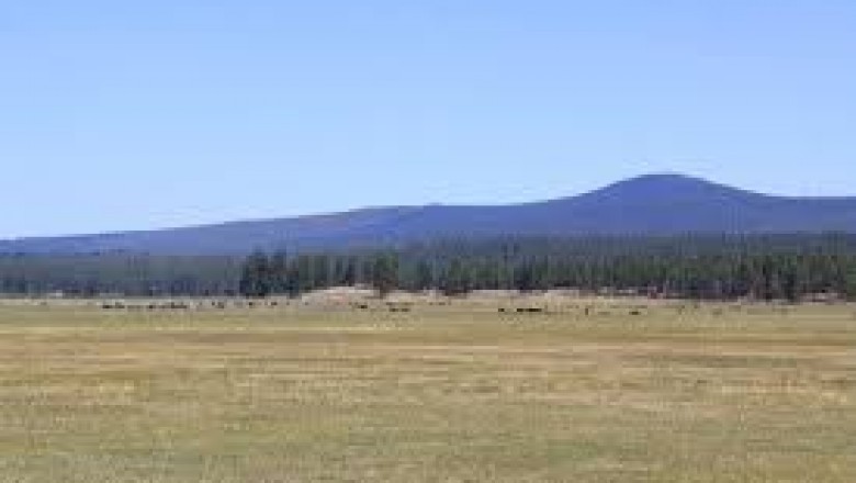 Land for Sale in the USA with 100% Money Back Guarantee - APXN Property