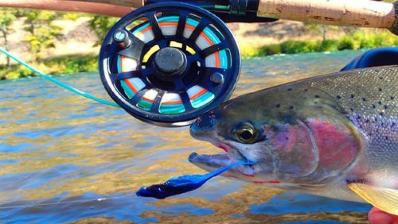 Anglers can learn a lot from reviews of leland fly fishing