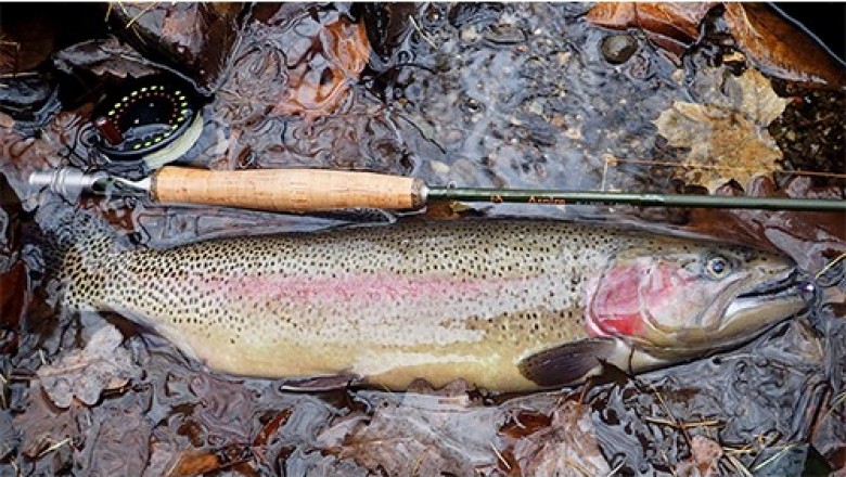 Top advantages of fly fishing closeouts