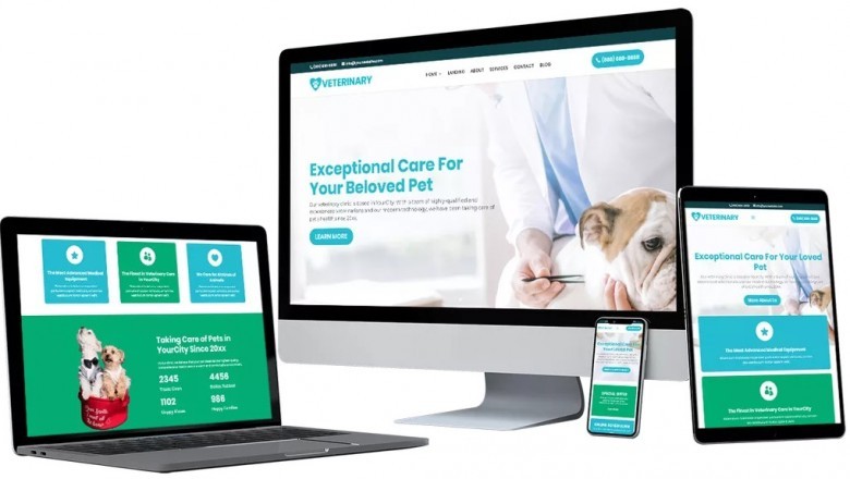 Veterinary Client Systems Review