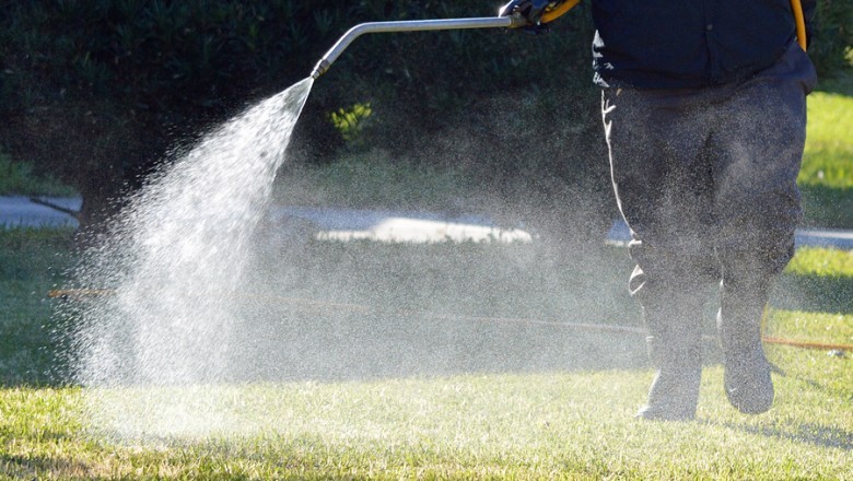 Tips To Take Care Of The Backyard Lawn During Fall