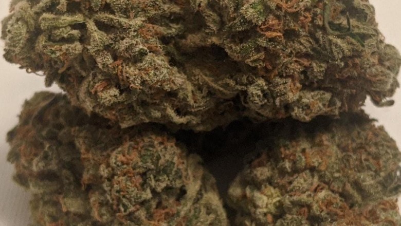 Hybrid Strains