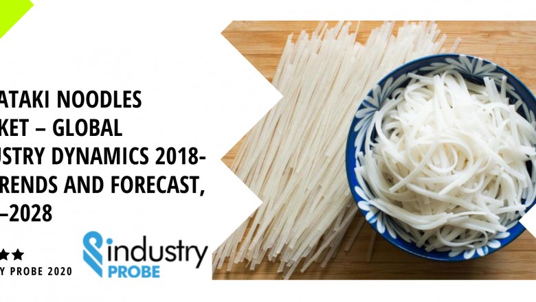 Shirataki Noodle Market Analysis