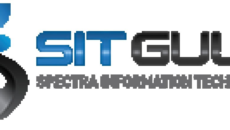 What are the different types of IT outsourcing available?