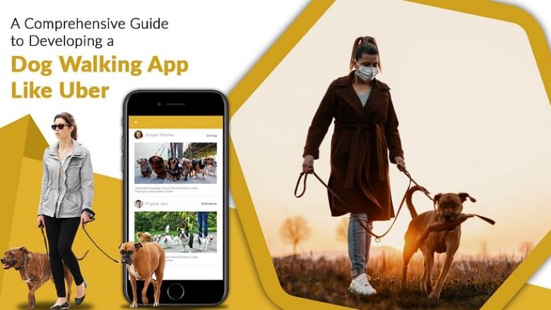 End-to-end process of building Dog walking app